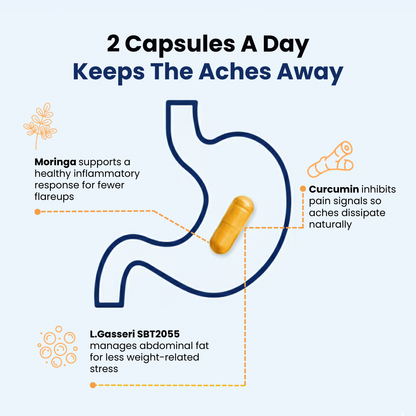 Provitalize Probiotics for Women,Menopause Joint Support, SexyMidsection Curves